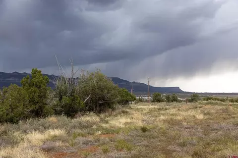 tbd S Broadway Hwy, Cortez, CO 81321 photo 13