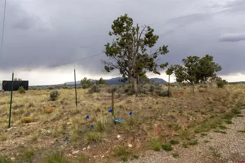 tbd S Broadway Hwy, Cortez, CO 81321 photo 7