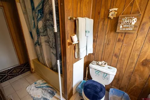 Bath - 770 NW Cedar Ave, Cedaredge, CO 81413 photo 3 of 3