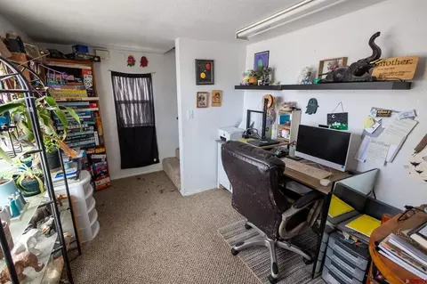 Other - 770 NW Cedar Ave, Cedaredge, CO 81413 photo 7 of 12