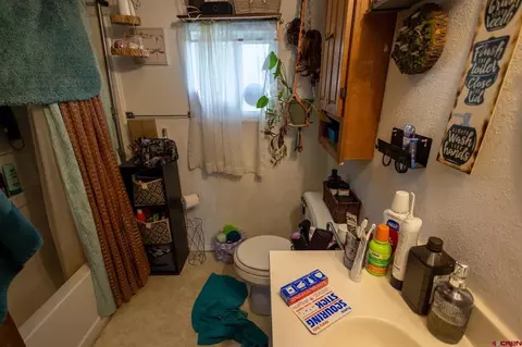 Bath - 770 NW Cedar Ave, Cedaredge, CO 81413 photo 1 of 3