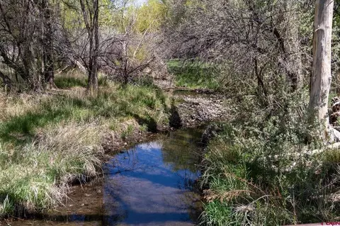 Other - 12053 Highway 65, Eckert, CO 81418 photo 6 of 17