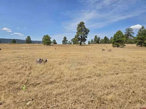 94 Greenway Dr, Pagosa Springs, CO 81147
