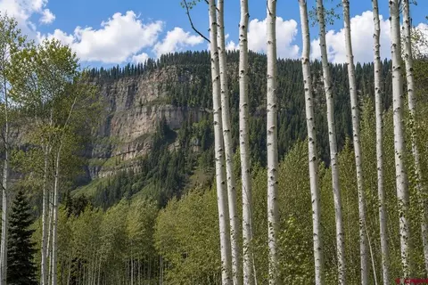83 Long Story Rd, Durango, CO 81301 photo 4