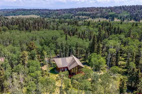 60 Spruce Dr, Cimarron, CO 81220 photo 38