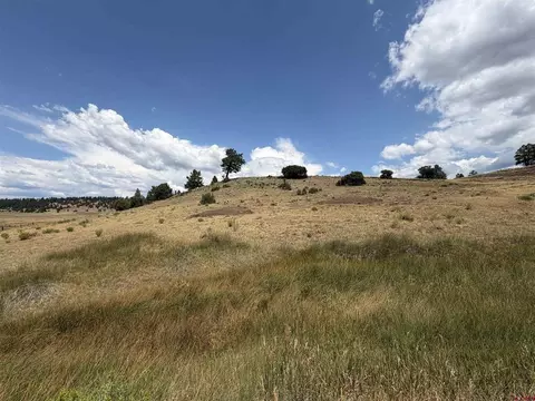 893 Loma Linda Dr, Pagosa Springs, CO 81147