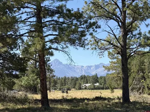 1761 Marmot Dr, Ridgway, CO 81432