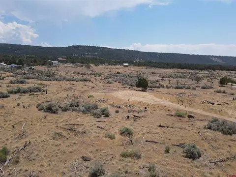 19296 Surface Creek Rd, Cedaredge, CO 81413 photo 8