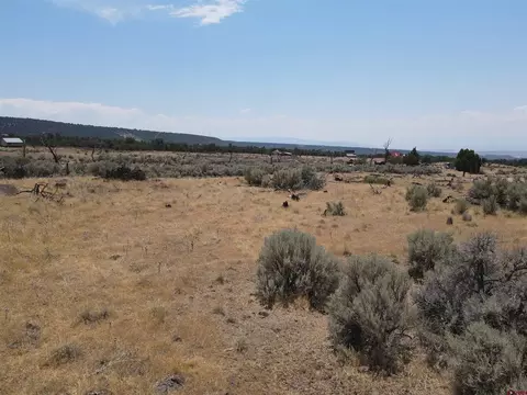 19296 Surface Creek Rd, Cedaredge, CO 81413 photo 6