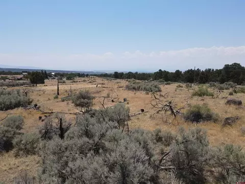 19296 Surface Creek Rd, Cedaredge, CO 81413 photo 7