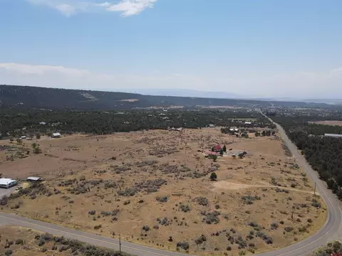 19296 Surface Creek Rd, Cedaredge, CO 81413 photo 5