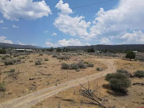 19296 Surface Creek Rd, Cedaredge, CO 81413 photo 9