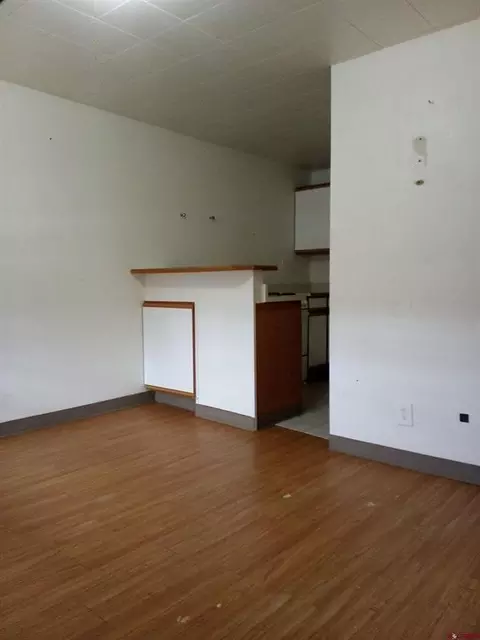 Other - 350 E 8th Ave, Durango, CO 81301 photo 14 of 17