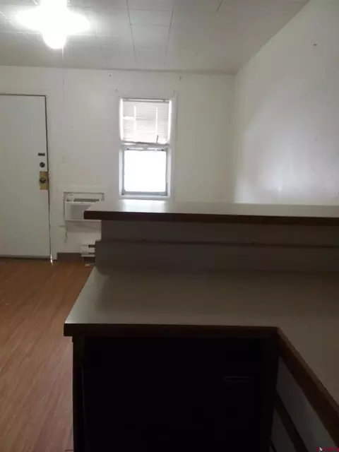 Other - 350 E 8th Ave, Durango, CO 81301 photo 8 of 17