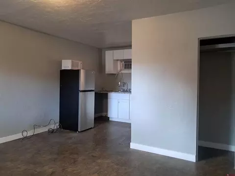 Other - 350 E 8th Ave, Durango, CO 81301 photo 3 of 17