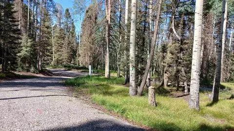 2020 Spruce Rd, Cimarron, CO 81220 photo 23