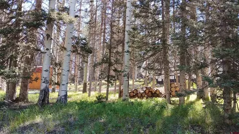 2020 Spruce Rd, Cimarron, CO 81220 photo 26