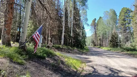 2020 Spruce Rd, Cimarron, CO 81220 photo 25