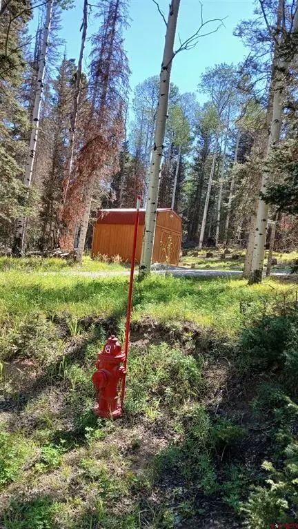 2020 Spruce Rd, Cimarron, CO 81220 photo 22