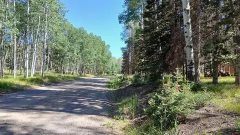 2020 Spruce Rd, Cimarron, CO 81220 photo 28