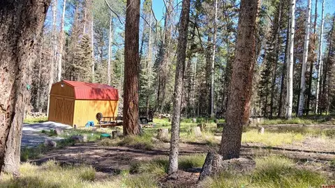 2020 Spruce Rd, Cimarron, CO 81220 photo 16