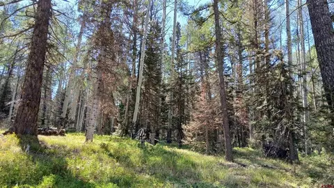2020 Spruce Rd, Cimarron, CO 81220 photo 12