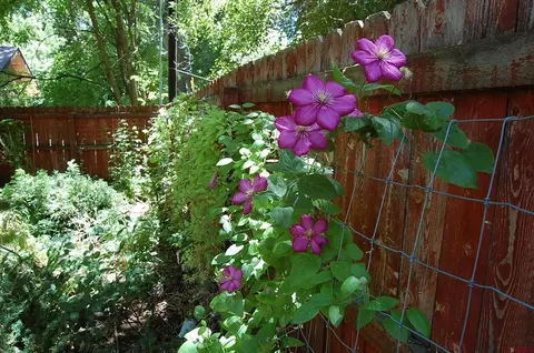 Other - 122 Alamo Dr, Durango, CO 81301 photo 8 of 13