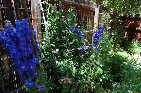 Other - 122 Alamo Dr, Durango, CO 81301 photo 11 of 13
