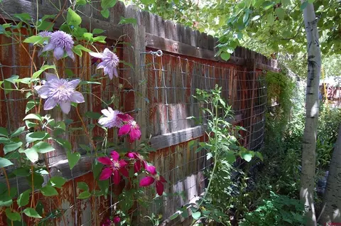 Other - 122 Alamo Dr, Durango, CO 81301 photo 9 of 13