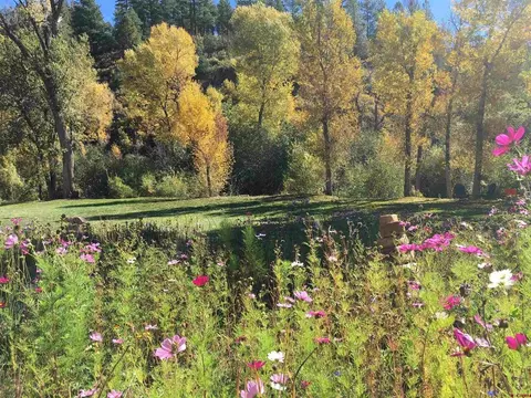 Other - 4564 Cr 234, Durango, CO 81301 photo 8 of 14