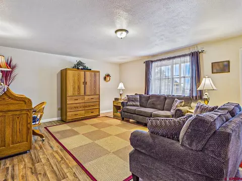 Living - 21582 Uintah Rd, Cedaredge, CO 81413 photo 3 of 3