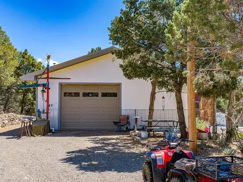 Exterior - 21582 Uintah Rd, Cedaredge, CO 81413 photo 12 of 13