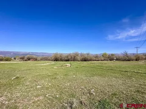 1010 SW 11th Ave, Cedaredge, CO 81413 photo 4