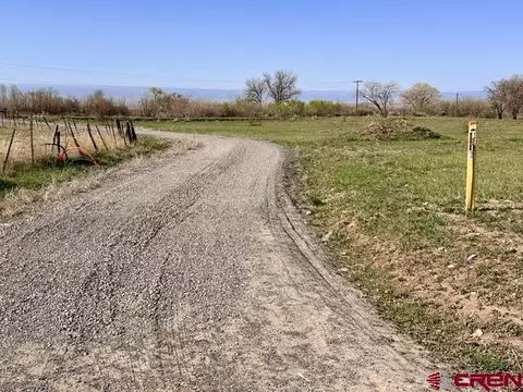 1010 SW 11th Ave, Cedaredge, CO 81413 photo 3