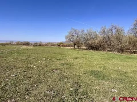 1010 SW 11th Ave, Cedaredge, CO 81413 photo 12