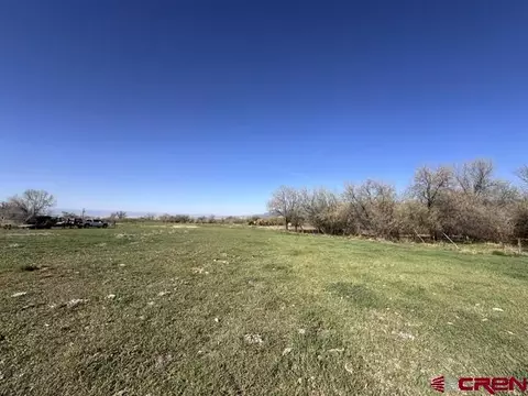 1010 SW 11th Ave, Cedaredge, CO 81413 photo 7