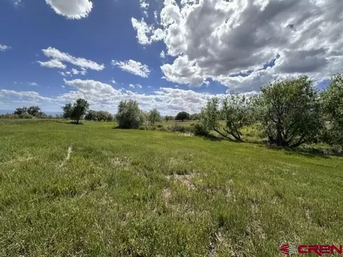 1010 SW 11th Ave, Cedaredge, CO 81413 photo 13