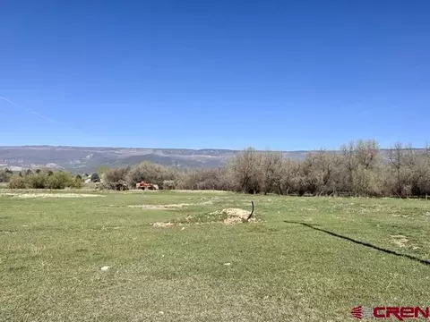 1010 SW 11th Ave, Cedaredge, CO 81413 photo 6