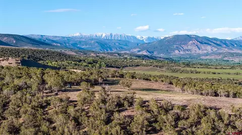 34797 Powell Mesa Rd, Hotchkiss, CO 81419