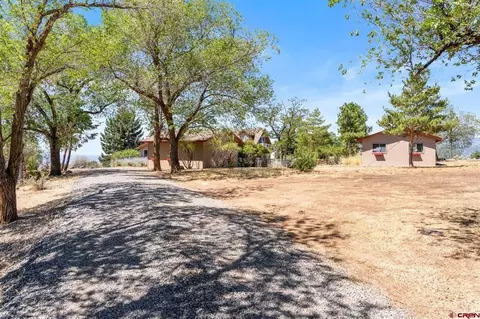 Exterior - 18779 2375 Rd, Cedaredge, CO 81413 photo 11 of 11
