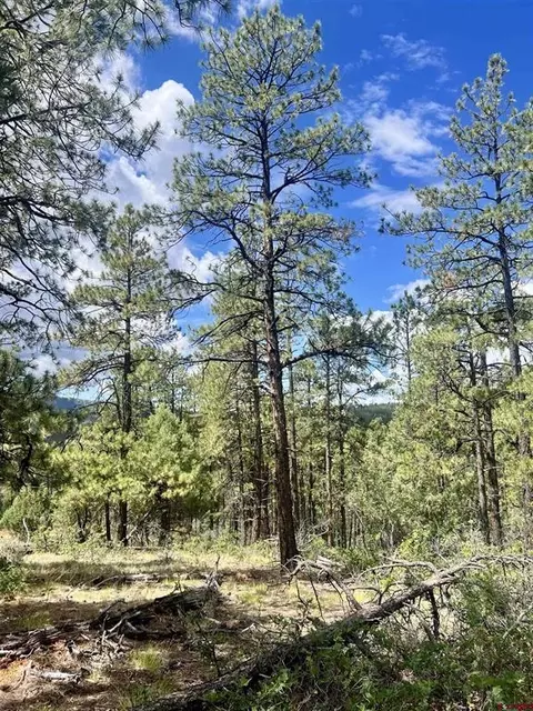 75 Rocky Ridge 2, Pagosa Springs, CO 81147
