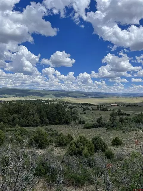 1950 Lodge Pole, Pagosa Springs, CO 81147