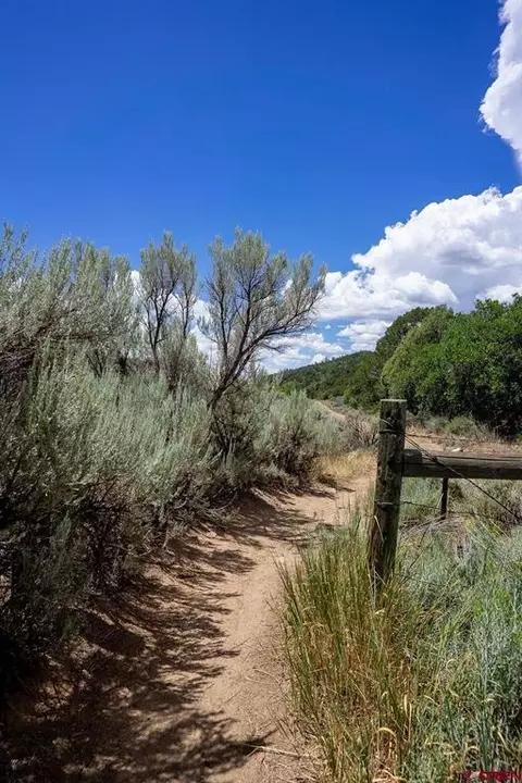 3279 County Road 237, Durango, CO 81301 photo 5