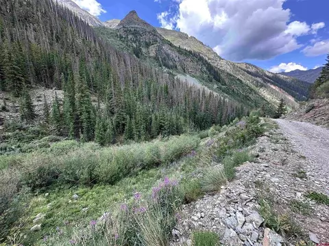 Forester Cr 23, Silverton, CO 81433