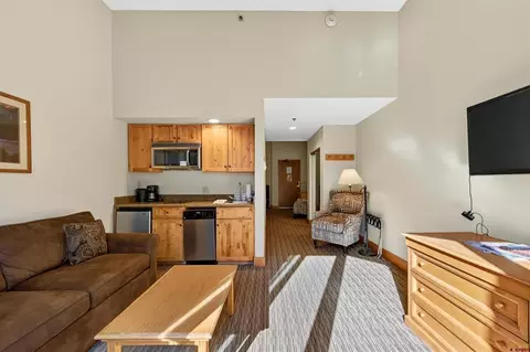 Living - 6 Emmons Rd #179, Crested Butte, CO 81225 photo 2 of 6
