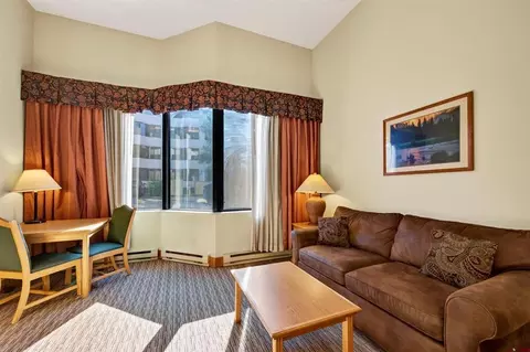 Living - 6 Emmons Rd #179, Crested Butte, CO 81225 photo 5 of 6
