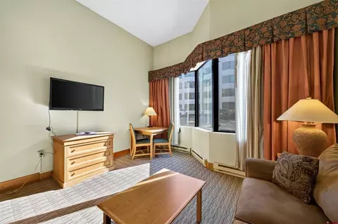 Living - 6 Emmons Rd #179, Crested Butte, CO 81225 photo 3 of 6
