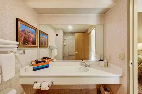 Bath - 6 Emmons Rd #179, Crested Butte, CO 81225 photo 2 of 2