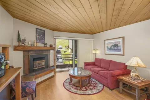 Living - 15 Marcellina Ln #119, Crested Butte, CO 81225 photo 1 of 3