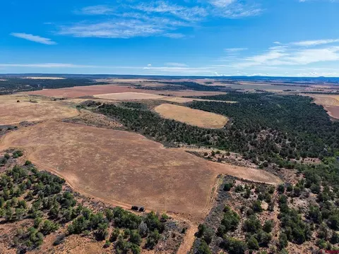 11068 Hwy 491, Dove Creek, CO 81324